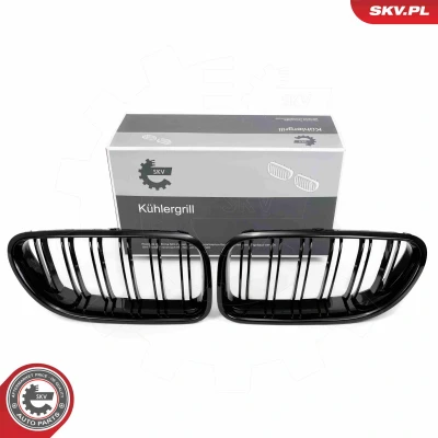 Abbildung von ESEN SKV 66SKV206 Kühlergrill schwarz, glänzend BMW: 6 Cabrio