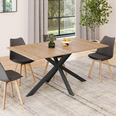 Abbildung von IDMarket Esstisch, rechteckig, Alix, 8 Personen, Spinnenfuß, Holz und Schwarz, 160 cm