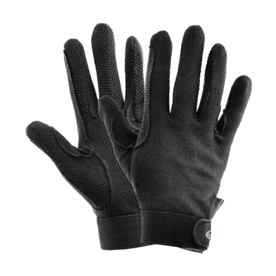 Abbildung von ELT Winter Reithandschuhe Picot