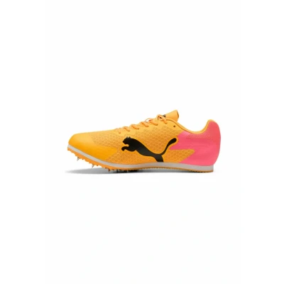 Abbildung von Puma Spikes, Herren, Größe: 39, Sun streamsunset glowpuma black Mesh