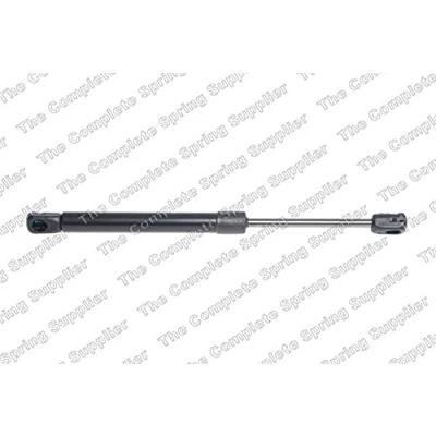 Abbildung von KILEN 314025 Motorhaubendämpfer vorne BMW: X3