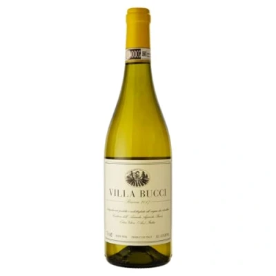 Abbildung von Verdicchio dei Castelli di Jesi Classico Riserva DOC Villa Bucci 2017 0,75 ℓ