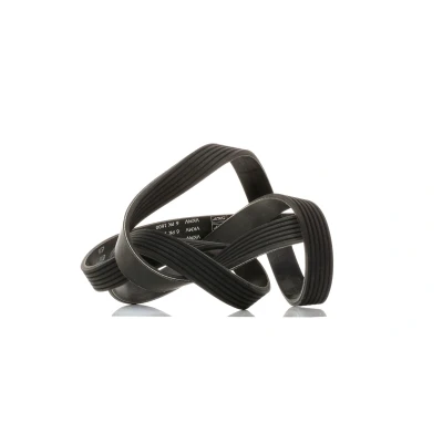 Abbildung von SKF VKMV 6PK1600 Keilrippenriemen 1600 6 OPEL: Combo C Kasten / Kombi, Corsa Schrägheck, Meriva A, RENAULT: ESPACE 3, LAGUNA 1 Grandtour,