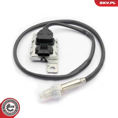 Abbildung von NOx Sensor, Katalysator ESEN SKV 71SKV113