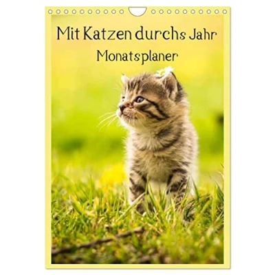 Abbildung von Mit Katzen durchs Jahr/Planer (Wandkalender 2025 DIN A4 hoch), CALVENDO Monatskalender