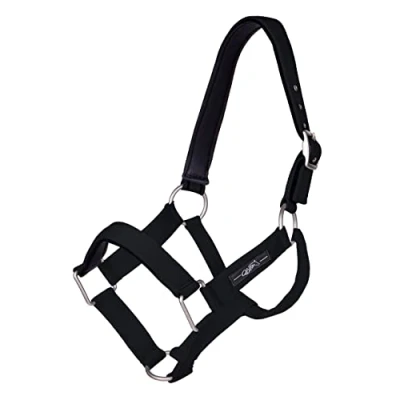 Abbildung von QHP Halfter Extra stark