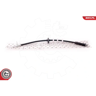 Abbildung von ESEN SKV 35SKV099 Bremsschläuche Vorderachse beidseitig 577 M10x1 PEUGEOT: 406 Limousine, Coupe