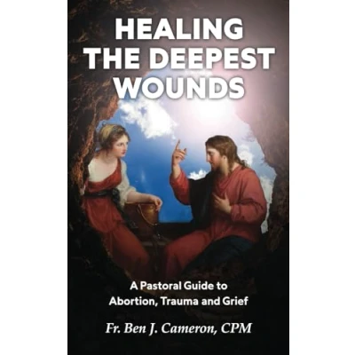 Abbildung von Healing the Deepest Wounds: A Pastoral Guide to Abortion, Trauma and Grief