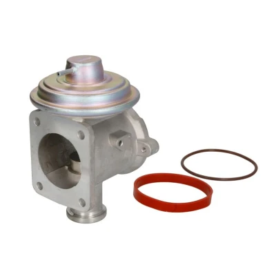Abbildung von MAGNETI MARELLI 571822112093 AGR Ventil BMW: 3 Touring, X3, 5 Touring