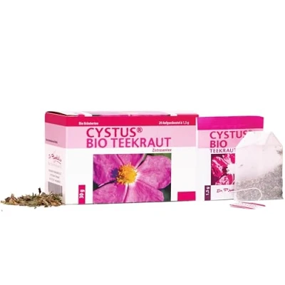 Abbildung von Dr. Pandalis Zistrosentee 1x 20 Cistus Tee Aufgussbeutel Incanus in Premium Bio Qualität Cystus Das Original aus der Apotheke Cystrosentee nach althergebrachter Weise